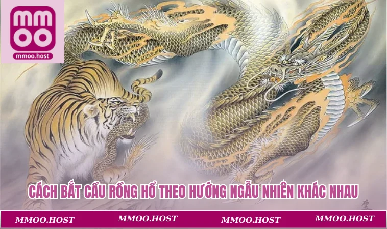 Cách bắt cầu rồng hổ theo hướng ngẫu nhiên khác nhau