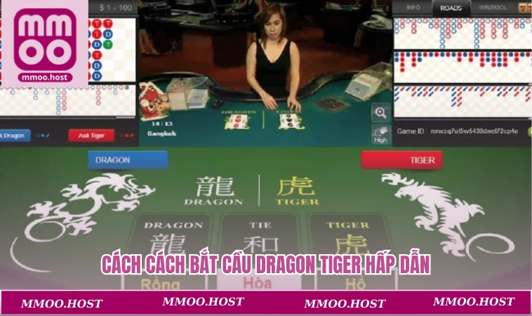 Cách cách bắt cầu dragon tiger hấp dẫn