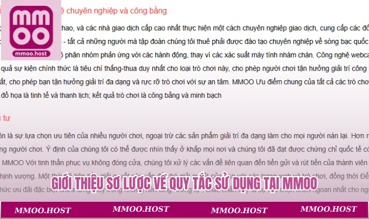 Điều khoản sử dụng MMOO 1 Giới thiệu sơ lược về quy tắc sử dụng tại MMOO
