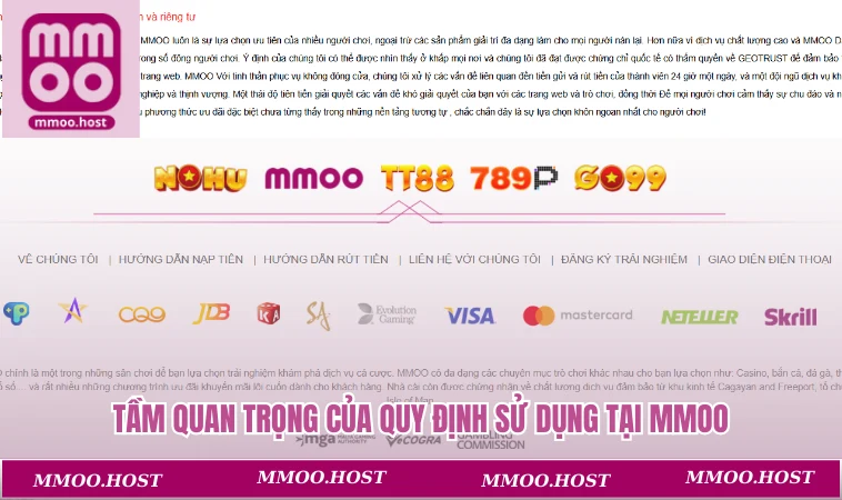 Điều khoản sử dụng MMOO 2 Tầm quan trọng của quy định sử dụng tại MMOO