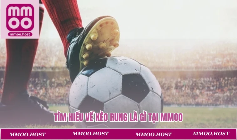 Tìm hiểu về kèo rung là gì tại MMOO